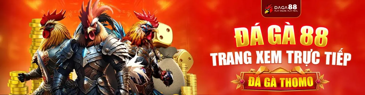 Hình ảnh chính sách cookie do666 link mới bảo mật dữ liệu người dùng
